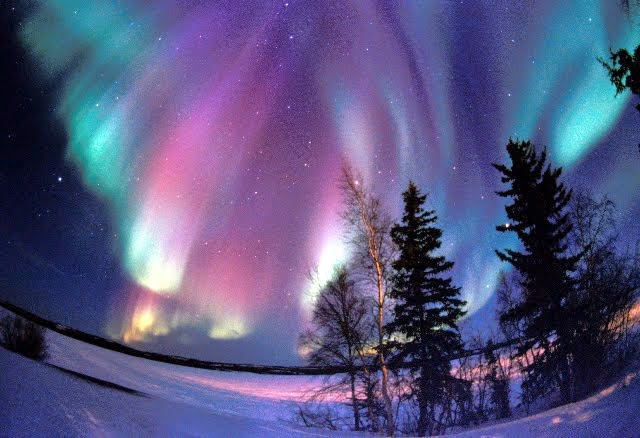 Aurora swedia