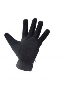 lizard's-palm-black2